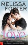 The Ryders, tome 1 : Seized by Love par Foster