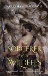 The Sorcerer of the Wildeeps par Wilson