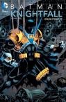 Batman. Knightfall 2. Knightquest par Nolan