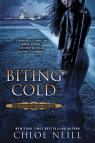 Chicagoland Vampires 6 : Biting Cold par Neill