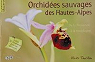 Orchides sauvages des Hautes-Alpes par Tourillon