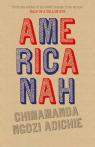 Americanah par Adichie
