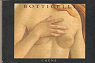 Boticelli par Botticelli