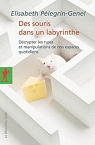 Des souris dans un labyrinthe par Plegrin-Genel