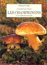 Les champignons et les termes de mycologie par Chaumeton