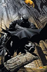Batman Universe n5