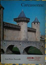Carcassonne par Panouill