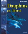 Dauphins en libert par Soury