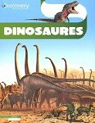 Dinosaures par Coupe