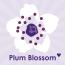 PlumBlossom