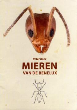 MIEREN van de Benelux par Peter Boer