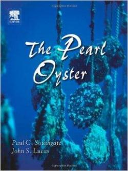 The Pearl Oyster par Paul Southgate