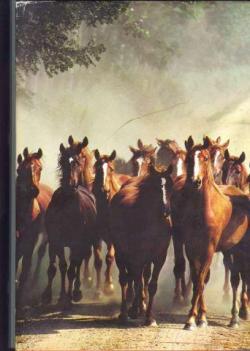 Nos chevaux par Editions Artis Historia