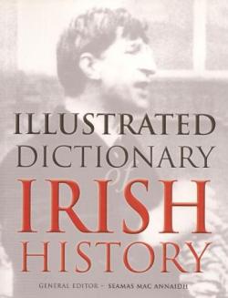 Illustrated dictionary Irish History par Guy de La Bdoyre