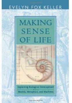 Making Sense of Life: Explaining Biological Development with Models, Metaphors, and Machines par Evelyn Fox Keller