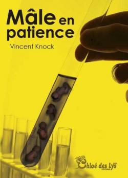 Mle en patience par Vincent Knock