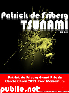 Tsunami par Patrick de Friberg