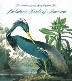 Audubon's Birds Of America par Virginia Peterson