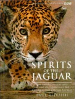 Spirits of the Jaguar: The Natural History and Ancient Civilizations of the Caribbean and Central America par Paul Reddish
