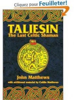 Taliesin: The Last Celtic Shaman par John Matthews