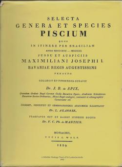 Selecta genera et species piscium, quos in itinere per Brasiliam annis 1817-1820... par Johann Baptist von Spix