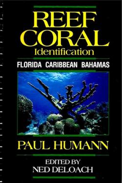 Reef Coral Identification. Florida Caribbean Bahamas. par Paul Humann