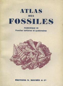 Atlas des fossiles - III - fossiles ternaires et quaternaires par Georges Denizot