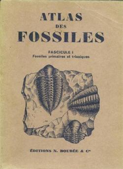 Atlas des fossiles - I - fossiles primaires et triasiques par Georges Denizot