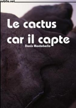 Le cactus car il capte par Denis Montebello