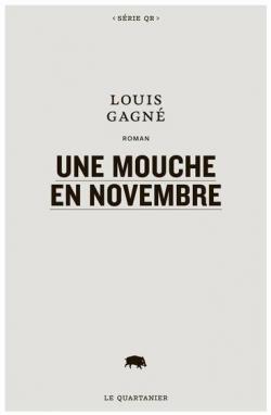 Une mouche en novembre par Louis Gagn