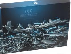 700 requins dans la nuit par Laurent Ballesta