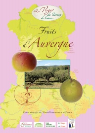 Fruits d'Auvergne par  Les Croqueurs de pommes