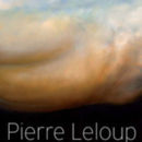 Pierre Leloup par Michel Butor