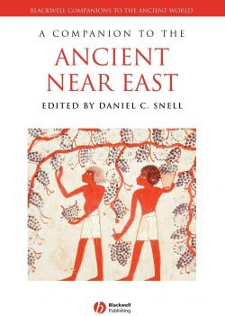 A companion to the ancient Near East par Daniel C. Snell