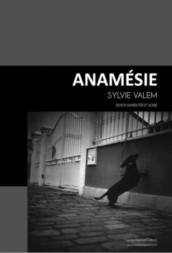 Anamsie par Sylvie Valem