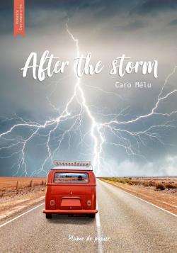 After the storm par Caro Mlu