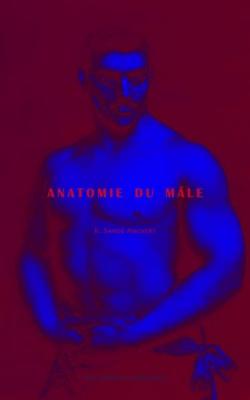 Anatomie du mle par K.S. Angvert