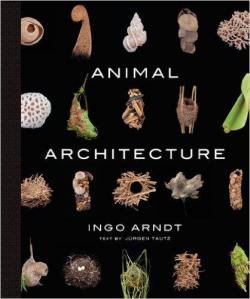 Animal Architecture par Ingo Arndt