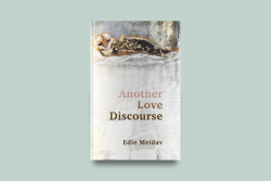 Another Love Discourse par Edie Meidav