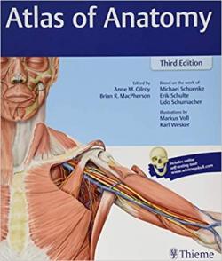 Atlas of Anatomy, Latin Nomenclature (3rd Edition) par Anne M. Gilroy