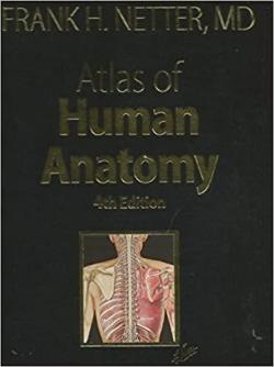 Atlas of Human Anatomy (4th Edition) par Netter
