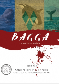 Bagga, La Baie des Caraibes par Quentin Hoerner