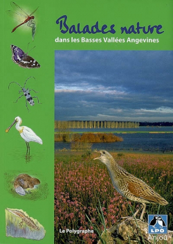 Balades nature dans les basses valles angevines par  LPO Anjou