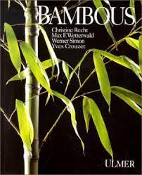 Bambous par Werner Simon