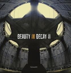 Beauty In Decay, tome 2 par Romany WG
