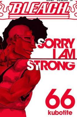 Bleach, tome 66 : Sorry, I am strong par Taito Kubo