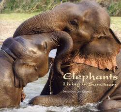 Elephants Living in Sanctuary par Sangduen 'Lek' Chailert