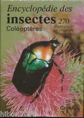Encyclopdie des insectes : coleopteres par Vaclav Jan Stanek
