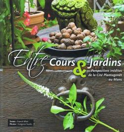 Entre Cours & Jardins : perspectives indites de la Cit Plantagent au Mans par Franck Miot