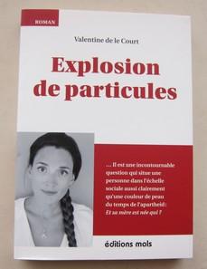 Explosion de particules par Valentine de Le Court